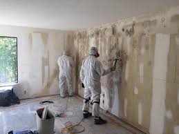 Best Real Estate Mold Inspection  in Pamplico, SC